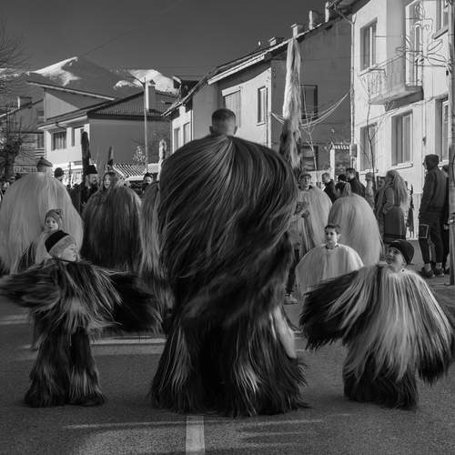 Photo #12058923