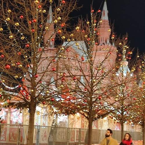 Photo #12058936