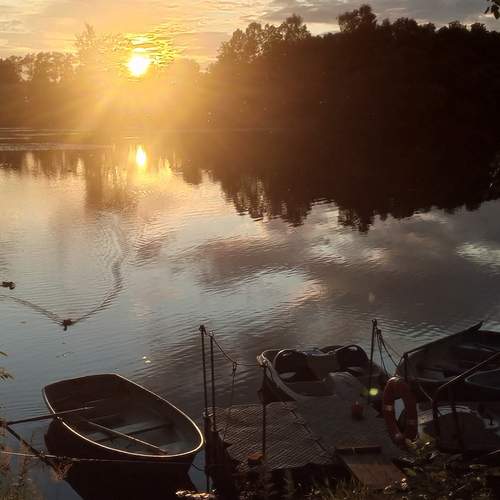 Photo #12058954