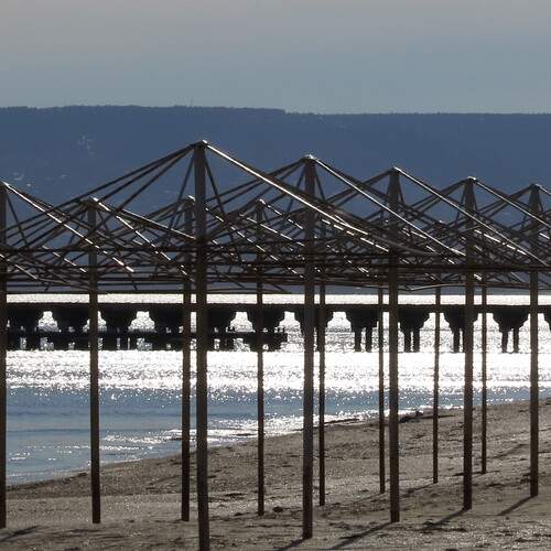 Photo #12059207