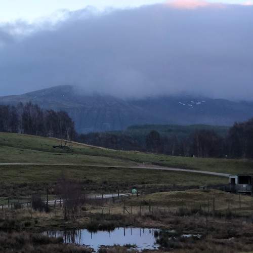 Photo #12059469