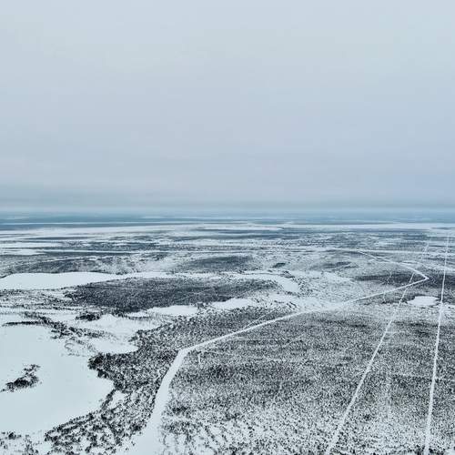 Photo #12059602