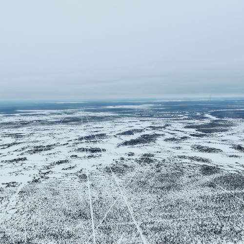 Photo #12059604