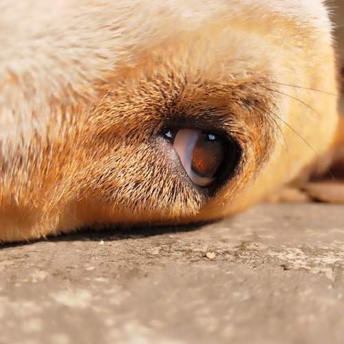 Photo #12059637
