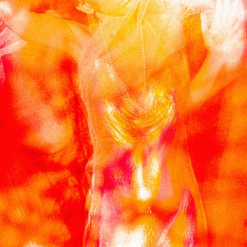 Photo #12059911