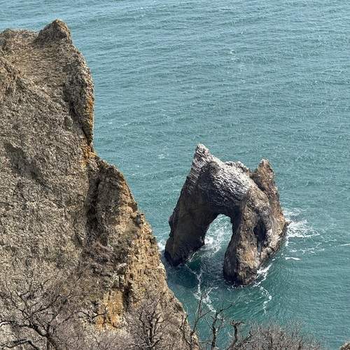 Photo #12059945