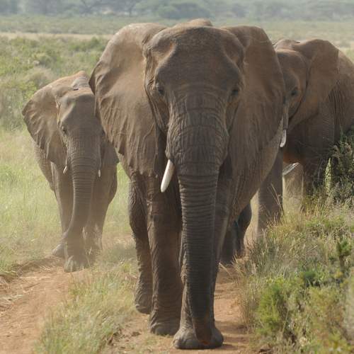 Photo #12060210