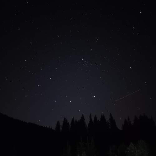 Photo #12060266