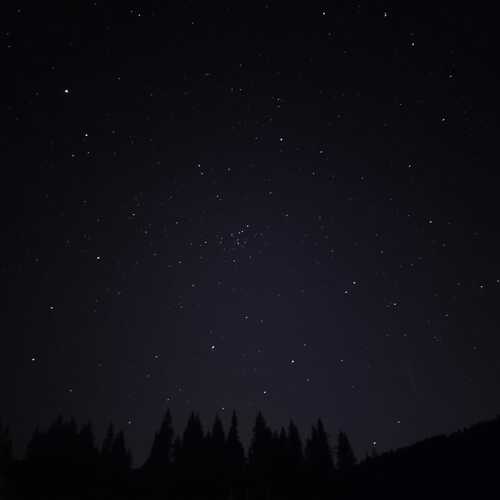 Photo #12060268