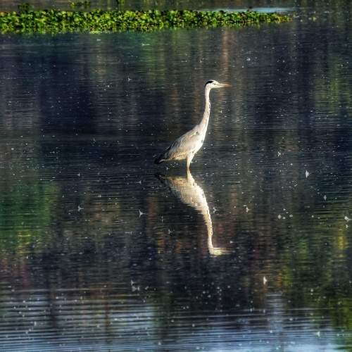 Photo #12060389