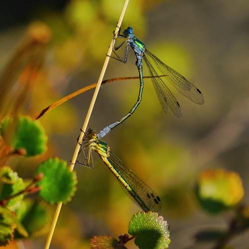 Photo #12060406