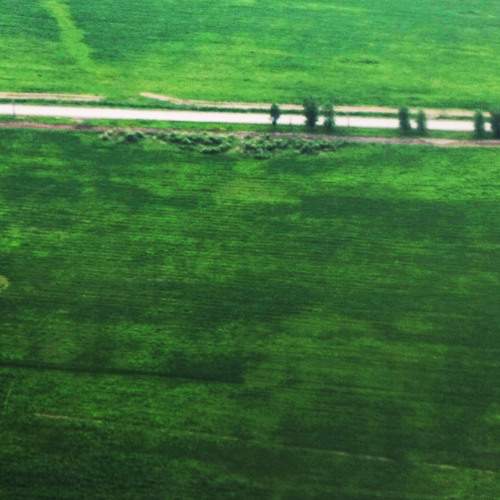 Photo #12060425