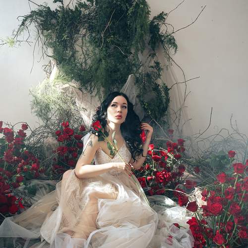 Photo #12060624