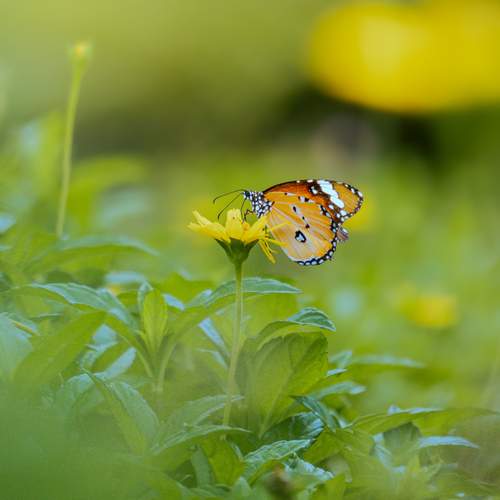 Photo #12060893