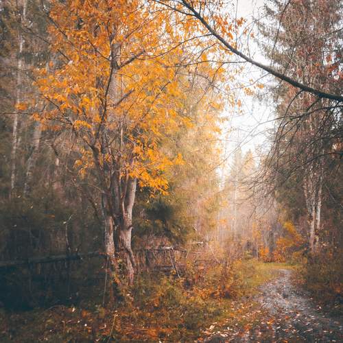Осень.