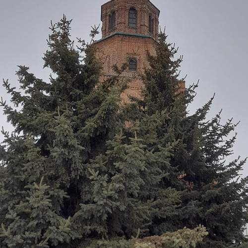 Photo #12061092