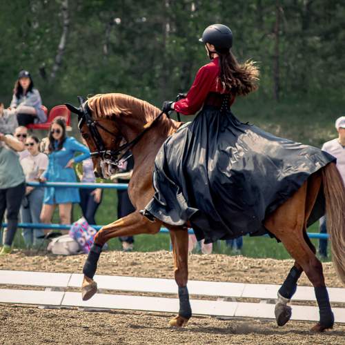 Photo #12061288