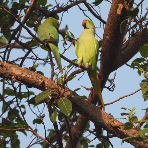 Photo #12061324