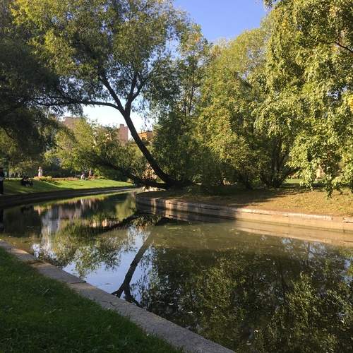 Photo #12061405