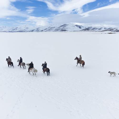 Фотография #12061407