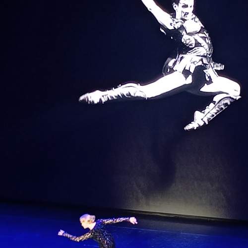 Photo #12061603