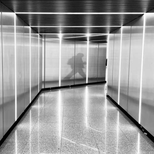 Photo #12061752