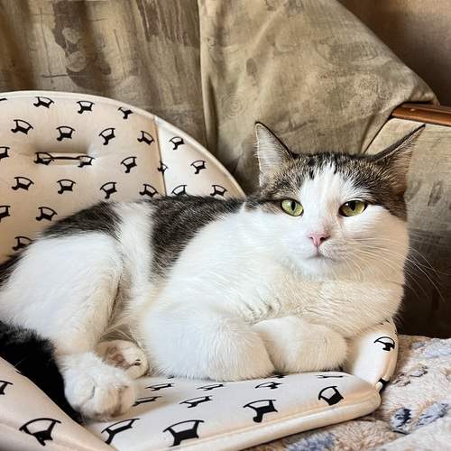 Photo #12061776