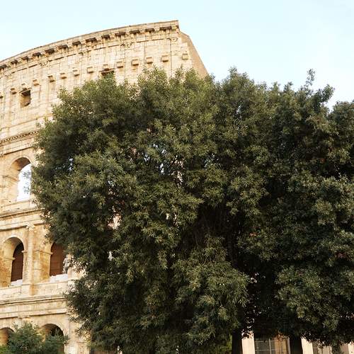 Photo #12062070