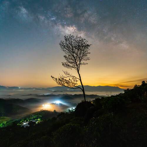 Photo #12062314