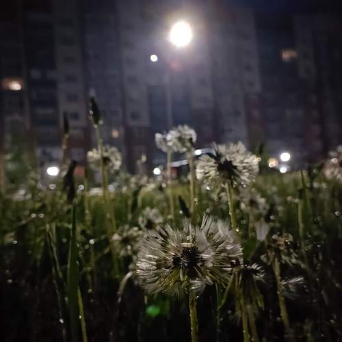 Photo #12062378