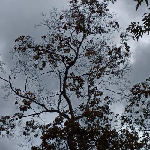 Photo #12062379