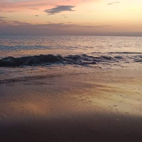 Photo #12062390