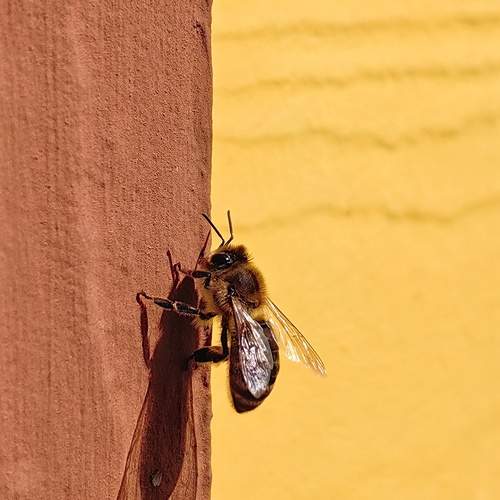 Photo #12062470