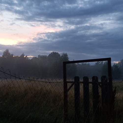 Photo #12062490