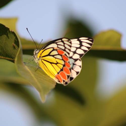 Photo #12062536