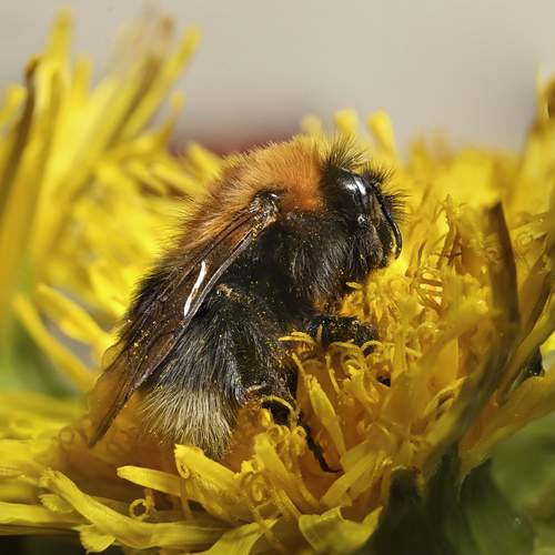 Photo #12062599