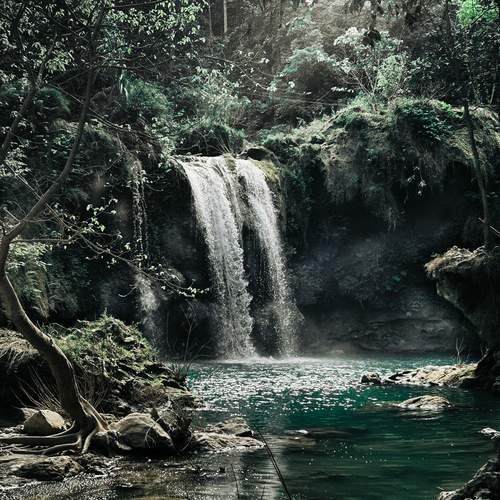 Photo #12062775