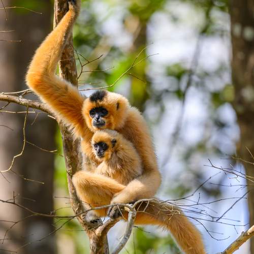 Photo #12062920