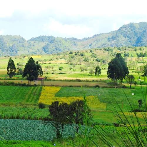 Photo #12062921