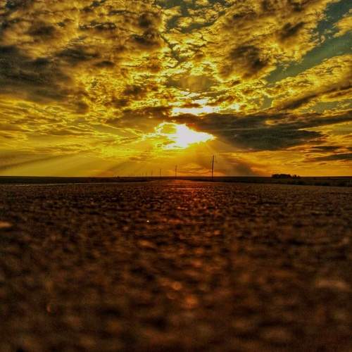 Photo #12063005