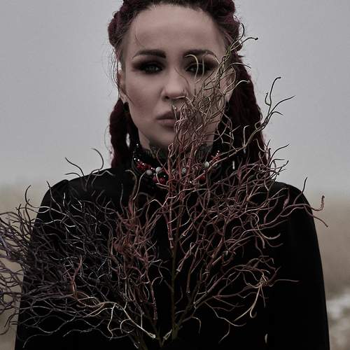 Photo #12063104
