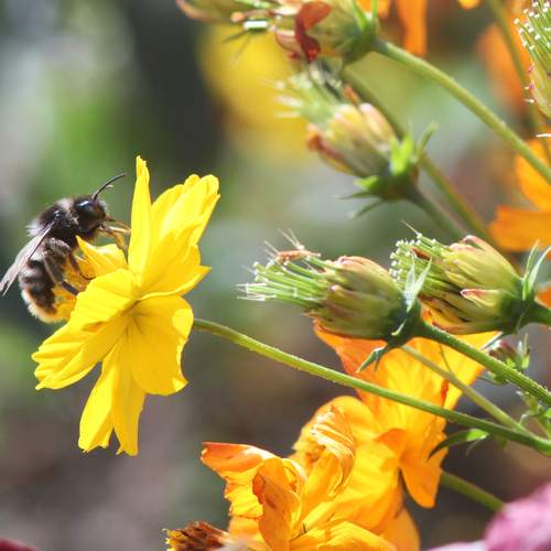 Photo #12063137