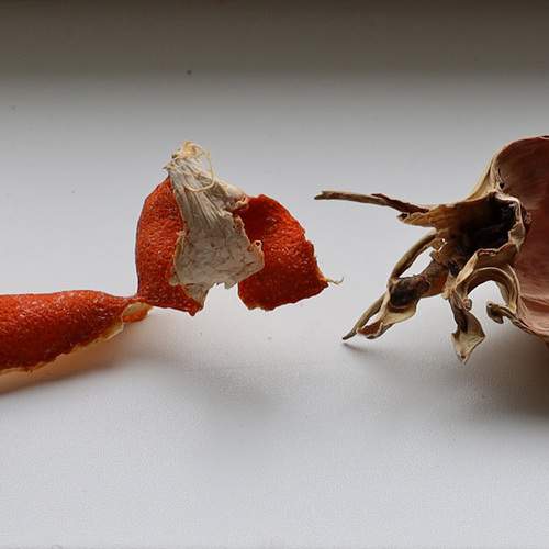 Photo #12063168
