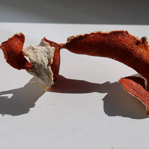 Photo #12063222