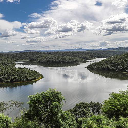 Parque estadual do Rio doce