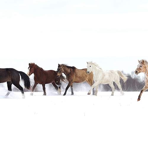 Photo #12063757