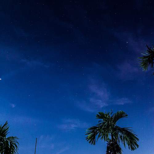 Tropical Starlit Serenity