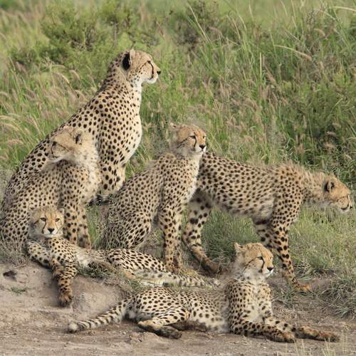 Photo #12064320