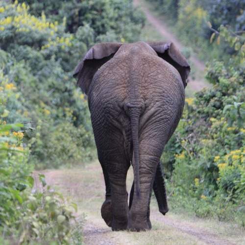Photo #12064327