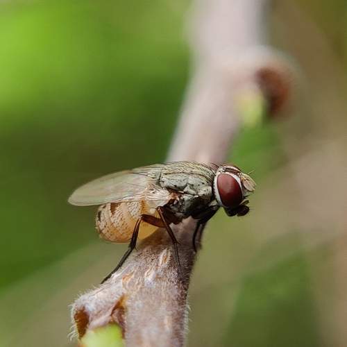 Photo #12064407